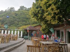 绿树茵茵-鲤鱼塘农家山庄