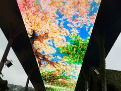 -东部华侨城