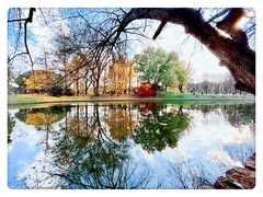 -上海共青森林公园