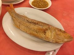 -深运潮州粥(东门店)