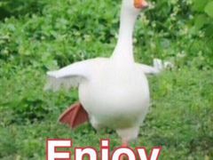 -螺大蛳柳州螺蛳粉·火锅·热干面(西城永捷店)