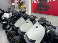 -九号电动车(安定门内大街店)