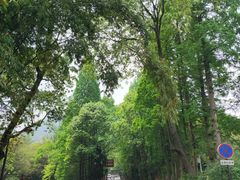 -峨眉山报国寺