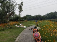 -桤木河湿地公园