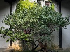 -惠山古镇·寄畅园