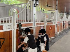 -名驭国际马术学院