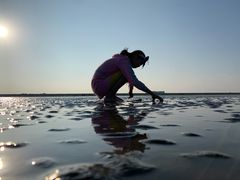 -南汇嘴观海公园