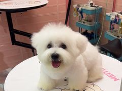 -FAELING PETS美天灵宠物(合生汇店)