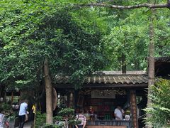 -青城甲(青城山店)