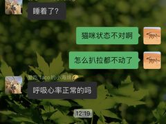 -康成宠物医院24H·CT·核磁共振