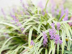 -雅达·阳羡溪山小镇中心