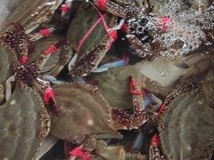 -登州市场(登州路店)