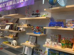 -斯坦星球AI编程·机器人科创·乐高科学·信奥·思维·专注力·STEM·竞赛考级(高新区绿宝广场龙湖狮山天街学习中心)