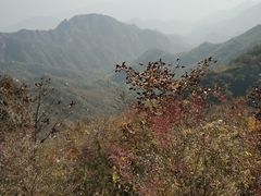 -大岭沟猕猴桃谷风景区