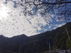 -沣峪口