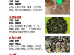 -巧克力渔家.小船海鲜胶东菜(万平口店)