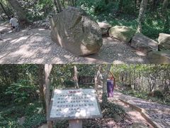 -上海佘山国家森林公园天马山园