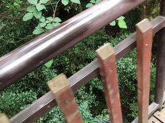 -石燕湖生态旅游景区