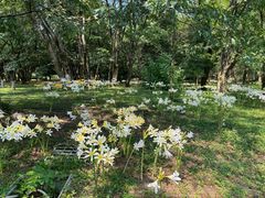 -杭州植物园