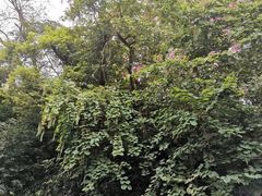 -人民公园(罗湖区)