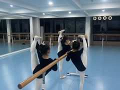 -西安小天鹅艺术团(曲江Alice店)