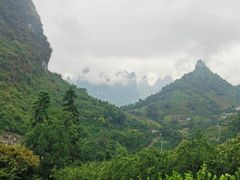 -大面山