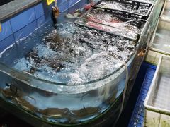 水产区-顺丰轩园林酒家(天河店)