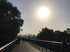 景点-金鸡山公园