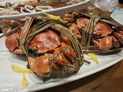-早船·深海鱼锅泡饼(金融港店)