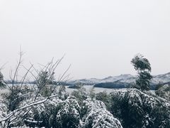-天目湖涵田半山温泉