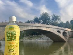 -赵州桥景区