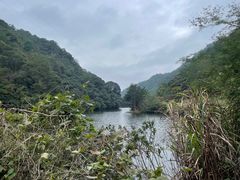 -雁南飞茶田景区
