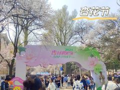 -吉林大学(南岭校区)