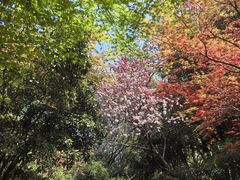 -桃花岛景观公园