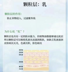点击看大图 -玛莲朵·海菲秀冰珀科