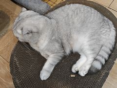 -悠米私人影院(街道口店)