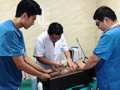 -安安宠医·安宠宠物医院