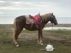 -青海湖国家重点风景名胜区