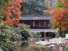 -重庆彩云湖湿地公园