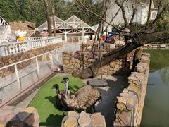 -金庭庄园酒店-停车场