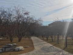 -中国农业大学(西校区)