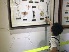 -上海昆虫博物馆