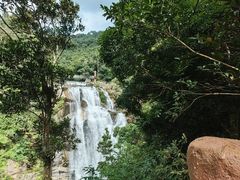 -海南热带雨林国家公园吊罗山景区