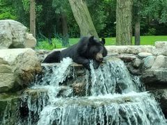 -北京野生动物园