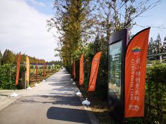 -前小桔亲子创意农场·草莓采摘·露营烧烤