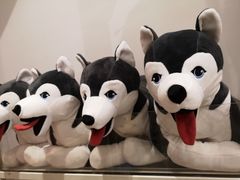 -名创优品(陕西西安大唐西市购物中心店)