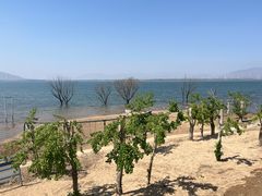 -观澜小洱海