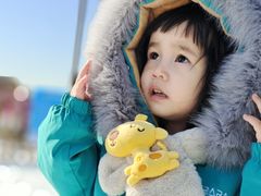 -绿野森林乐园冰雪季