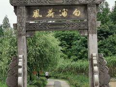-杏花村文化旅游区