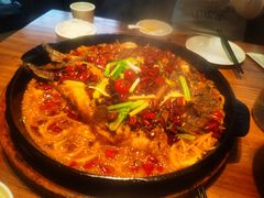 -老板恋上鱼(恒隆广场店)